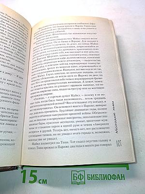 Молодые львы