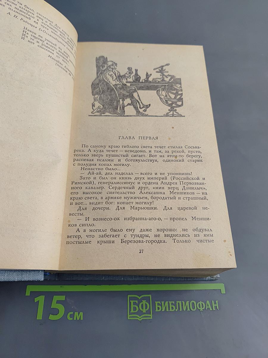 Слово и дело. Часть 1. Царица престрашного зраку