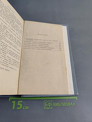 Слово и дело. Часть 1. Царица престрашного зраку