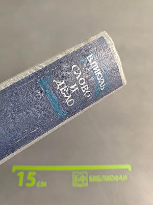 Слово и дело. Часть 1. Царица престрашного зраку