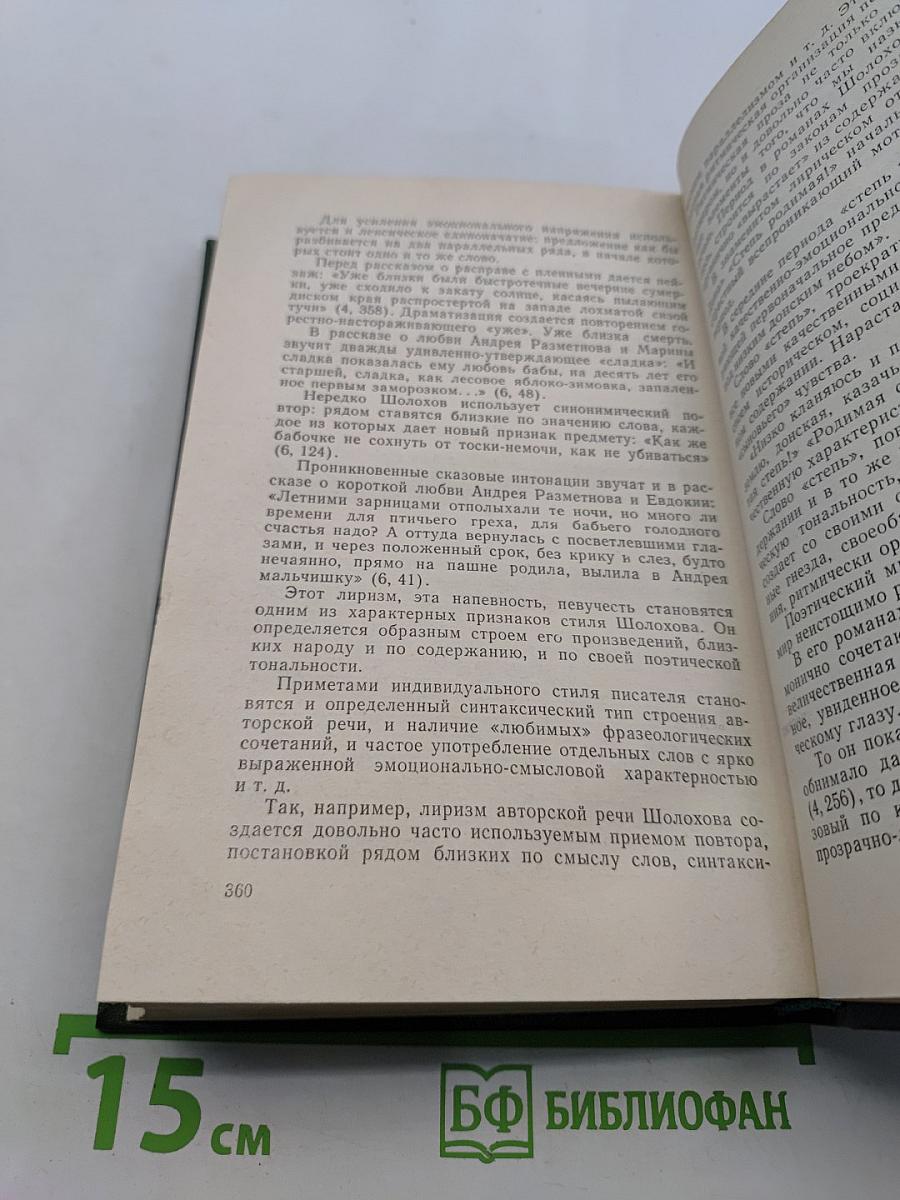 За быстро текущим днем