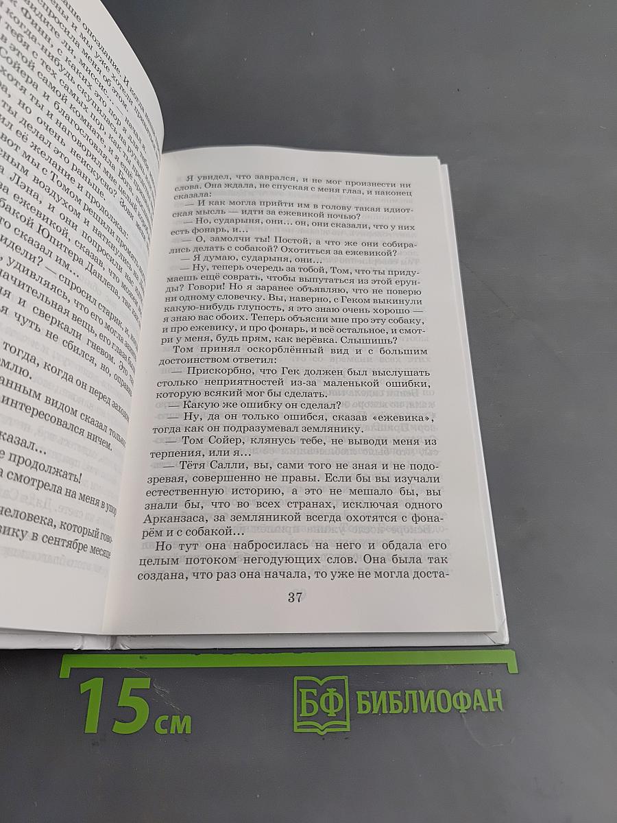 Том Сойер – сыщик. Том Сойер – воздухоплаватель