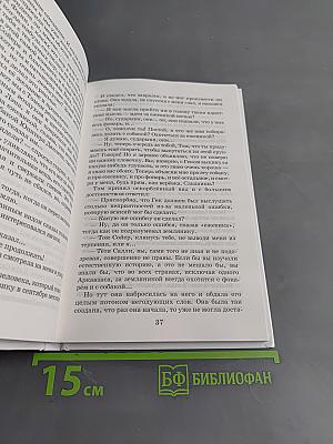 Том Сойер – сыщик. Том Сойер – воздухоплаватель