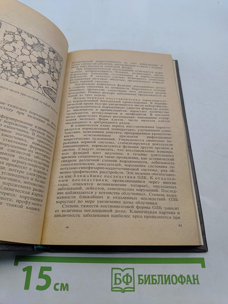 Военно-полевая терапия