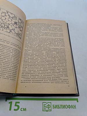Военно-полевая терапия