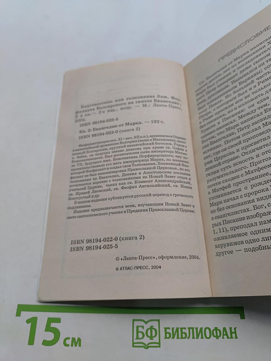 Толкование на Евангелие от Марка. Книга 2