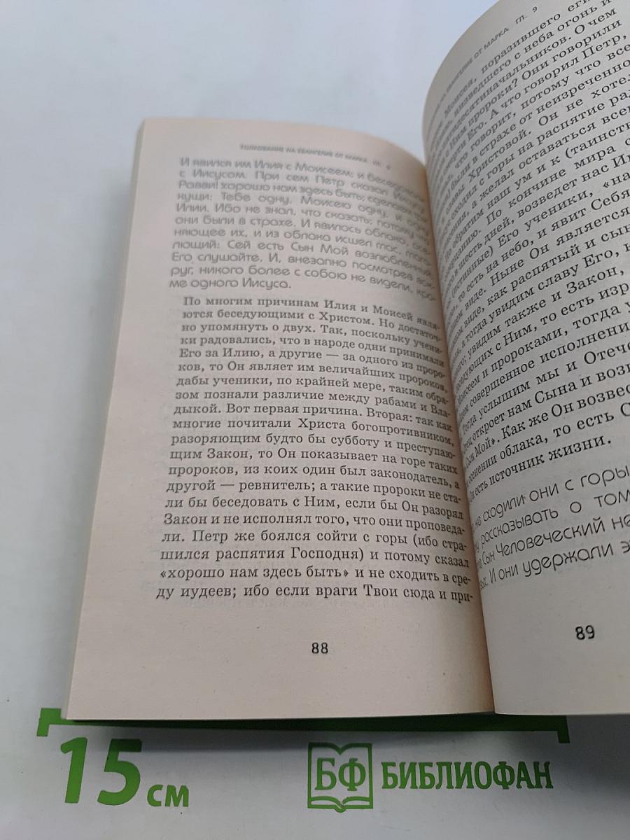 Толкование на Евангелие от Марка. Книга 2