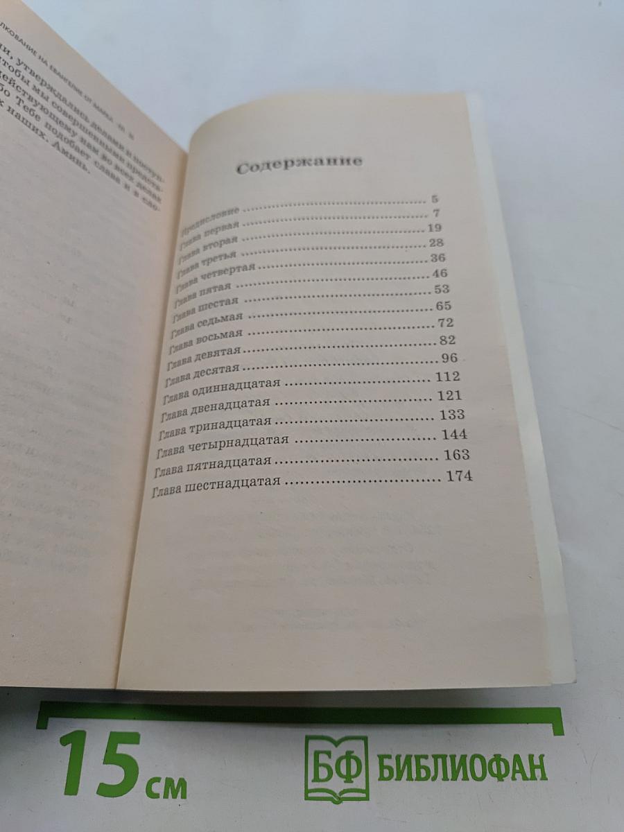 Толкование на Евангелие от Марка. Книга 2