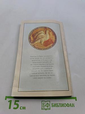 Толкование на Евангелие от Марка. Книга 2