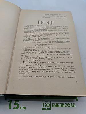 Горные орлы
