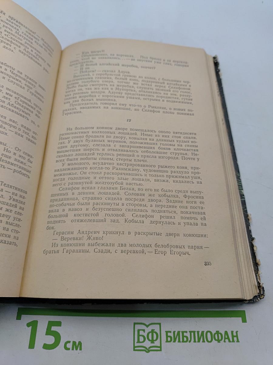 Горные орлы