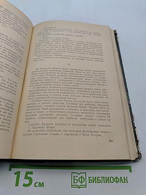 Горные орлы