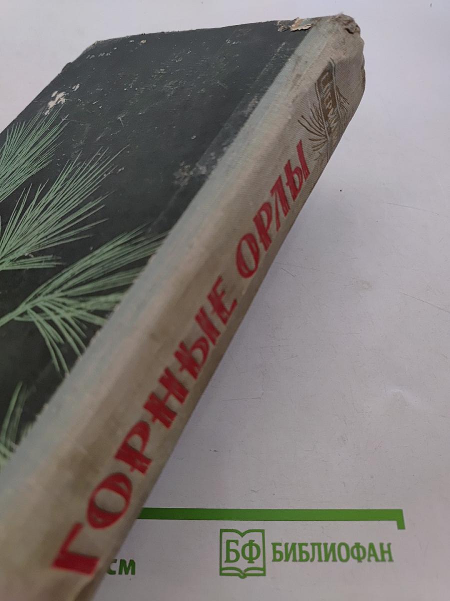 Горные орлы