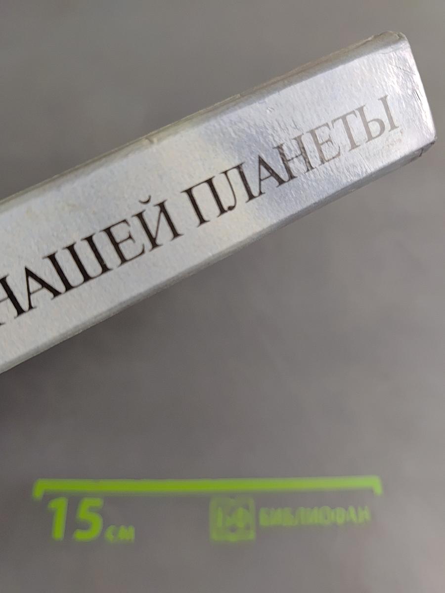 Легкие нашей планеты. Влажный тропический лес — наиболее угрожаемый биоценоз на Земле