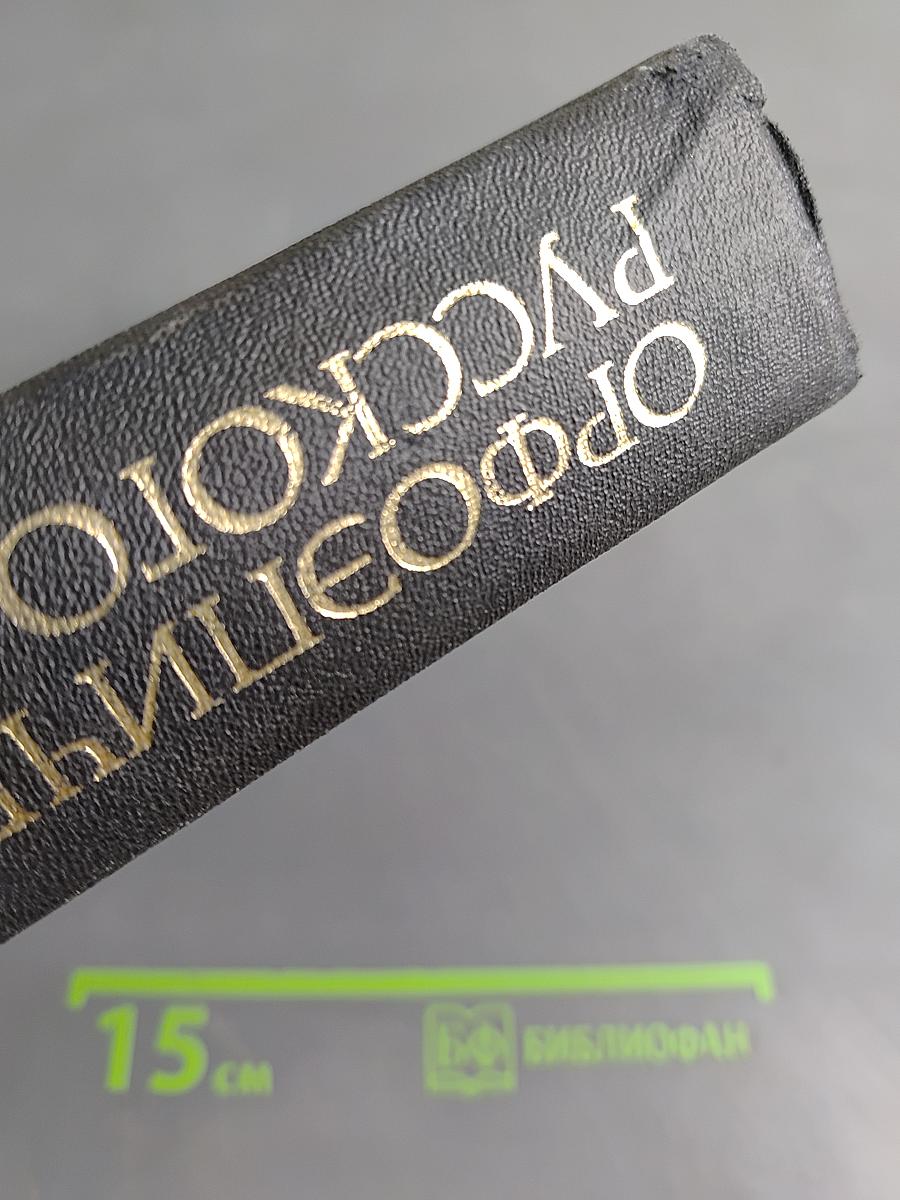 Орфоэпический словарь русского языка. Произношение, ударение, грамматические формы
