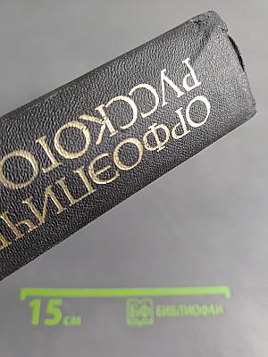 Орфоэпический словарь русского языка. Произношение, ударение, грамматические формы