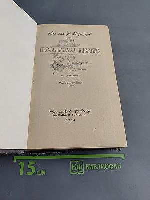 Полярная мечта