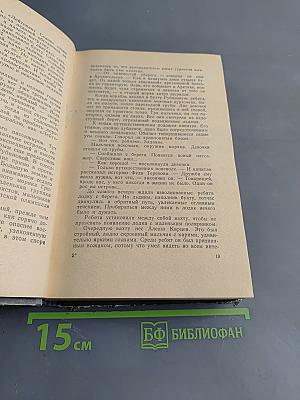 Полярная мечта