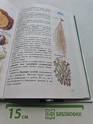 От Земли до Неба. Атлас-определитель для учащихся начальных классов