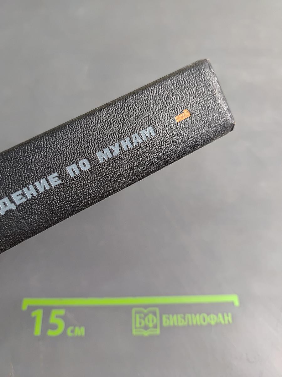 Хождение по мукам. Том первый. Книга первая и вторая. Сестры. Восемнадцатый год