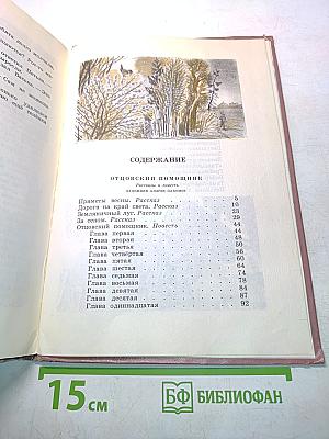 Медовые кладовые