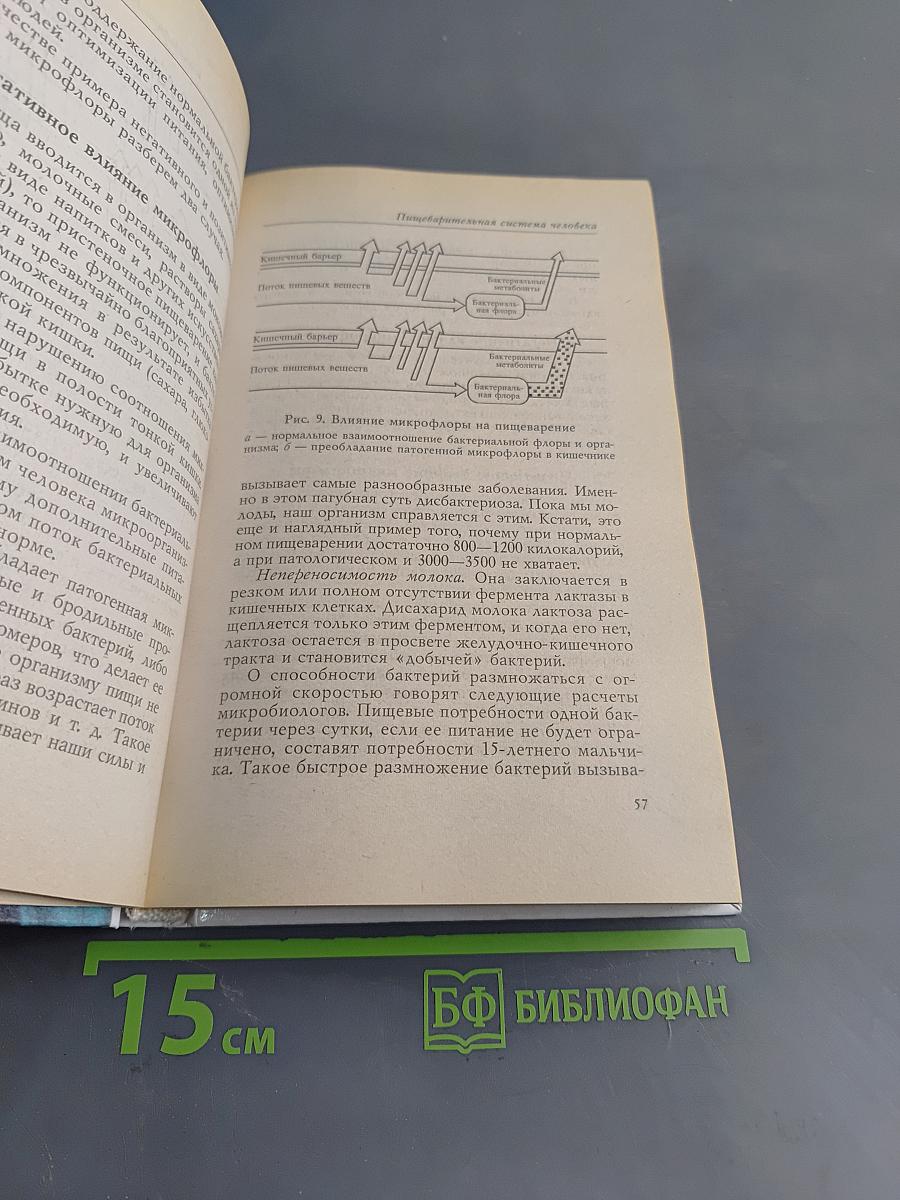 Здоровое питание