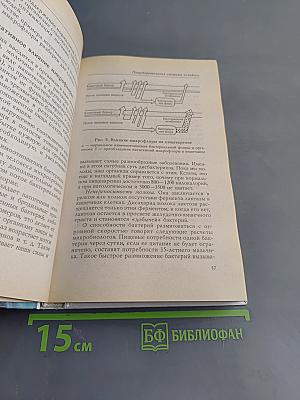 Здоровое питание