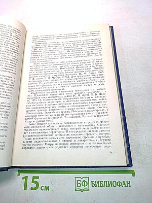 Геология оловянных россыпей СССР, их поиски и оценка