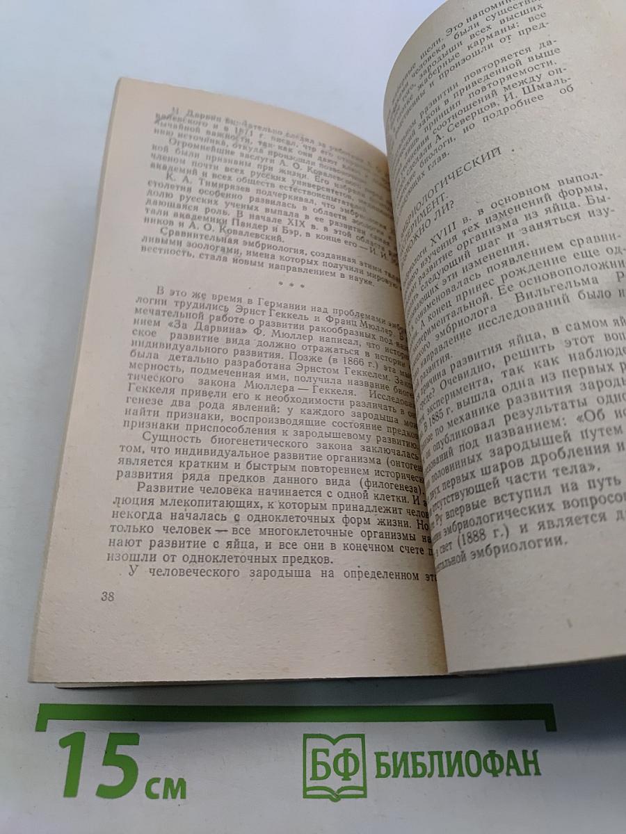 Жизнь до рождения