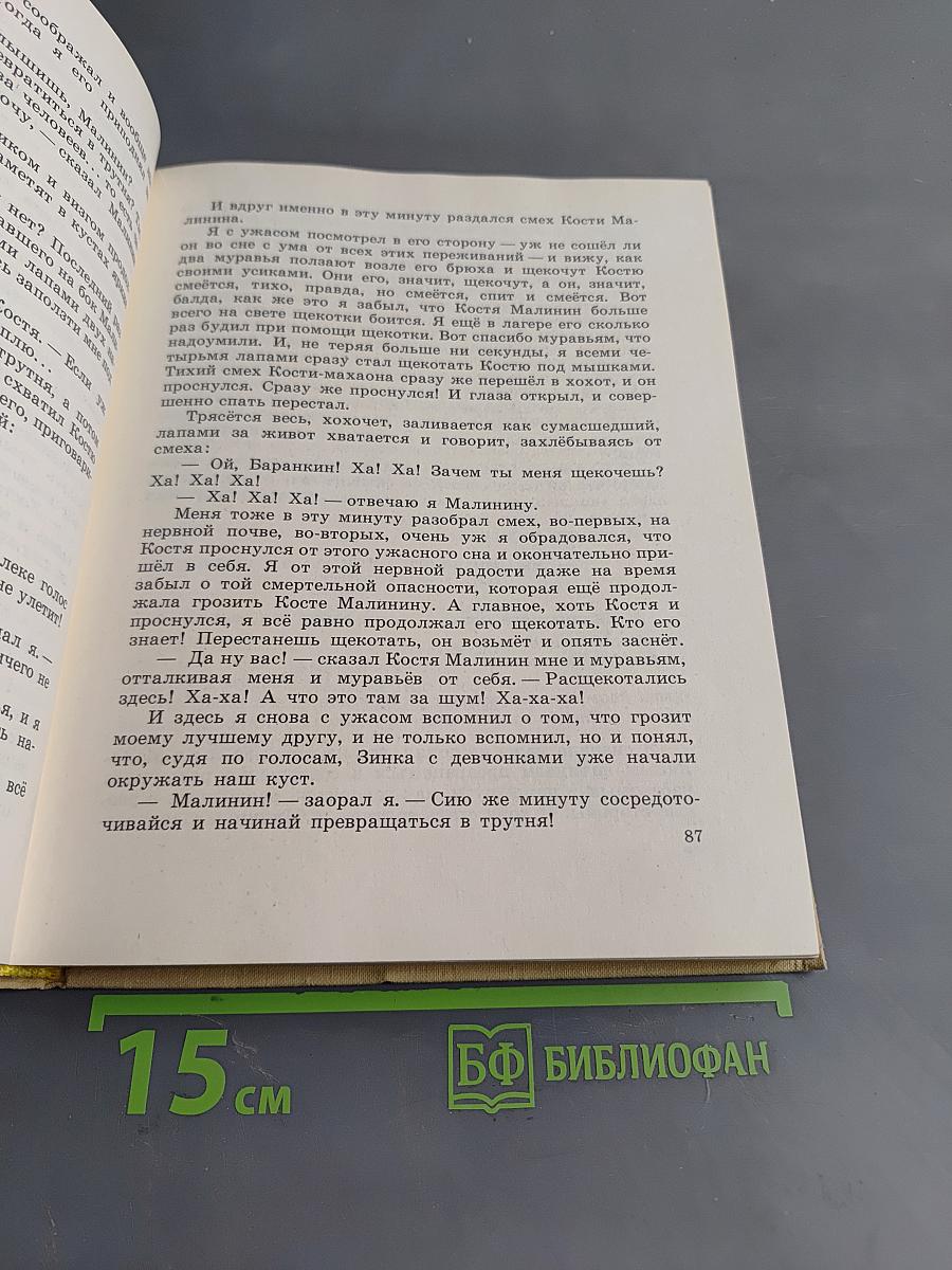 Олимпийские тигры