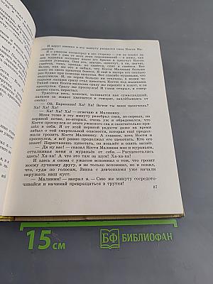 Олимпийские тигры