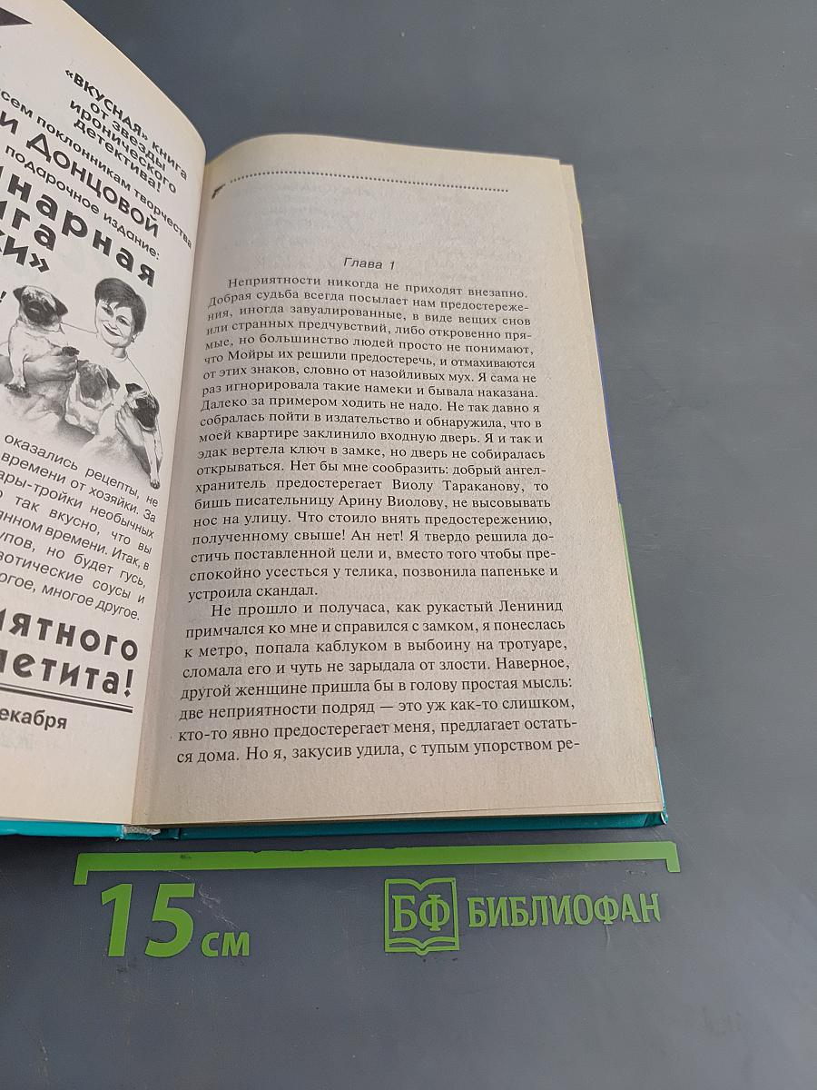 Муха в самолете
