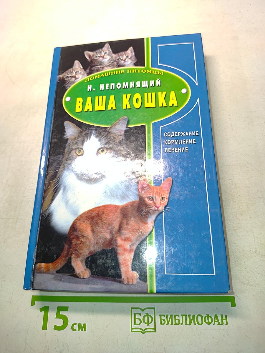 Ваша кошка