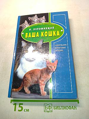 Ваша кошка