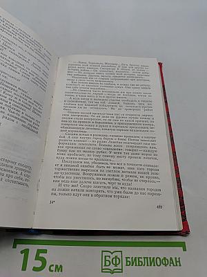 Полынь на снегу