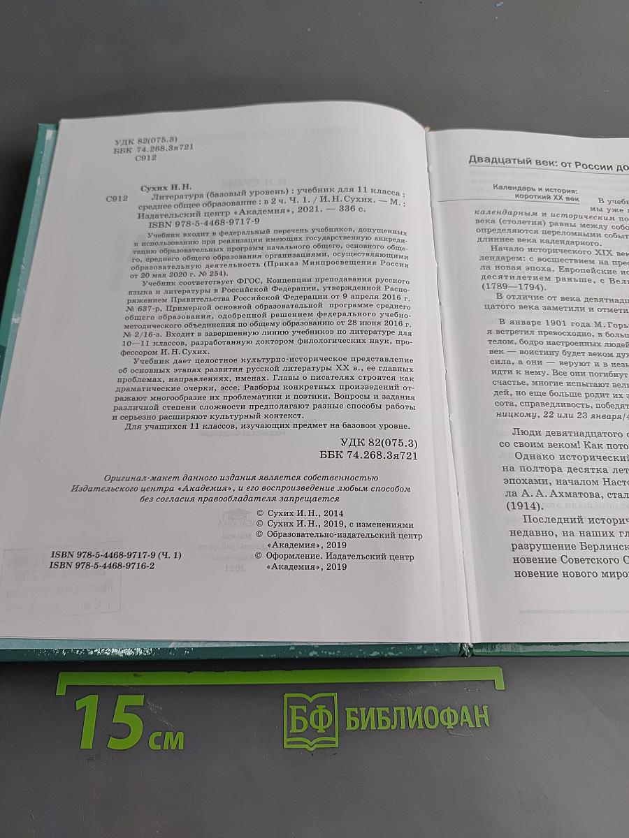Литература. 11 класс. Базовый уровень. Часть 1