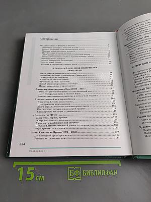Литература. Учебник для 11 класса. Базовый уровень. В двух частях. Часть 1