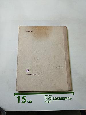 В нашем дворе...