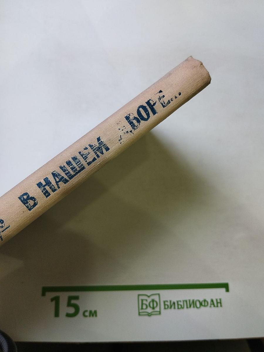 В нашем дворе...