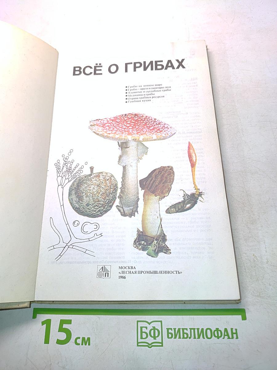 Всё о грибах