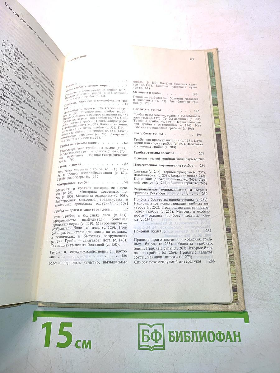 Всё о грибах