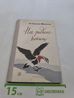 На родине птиц