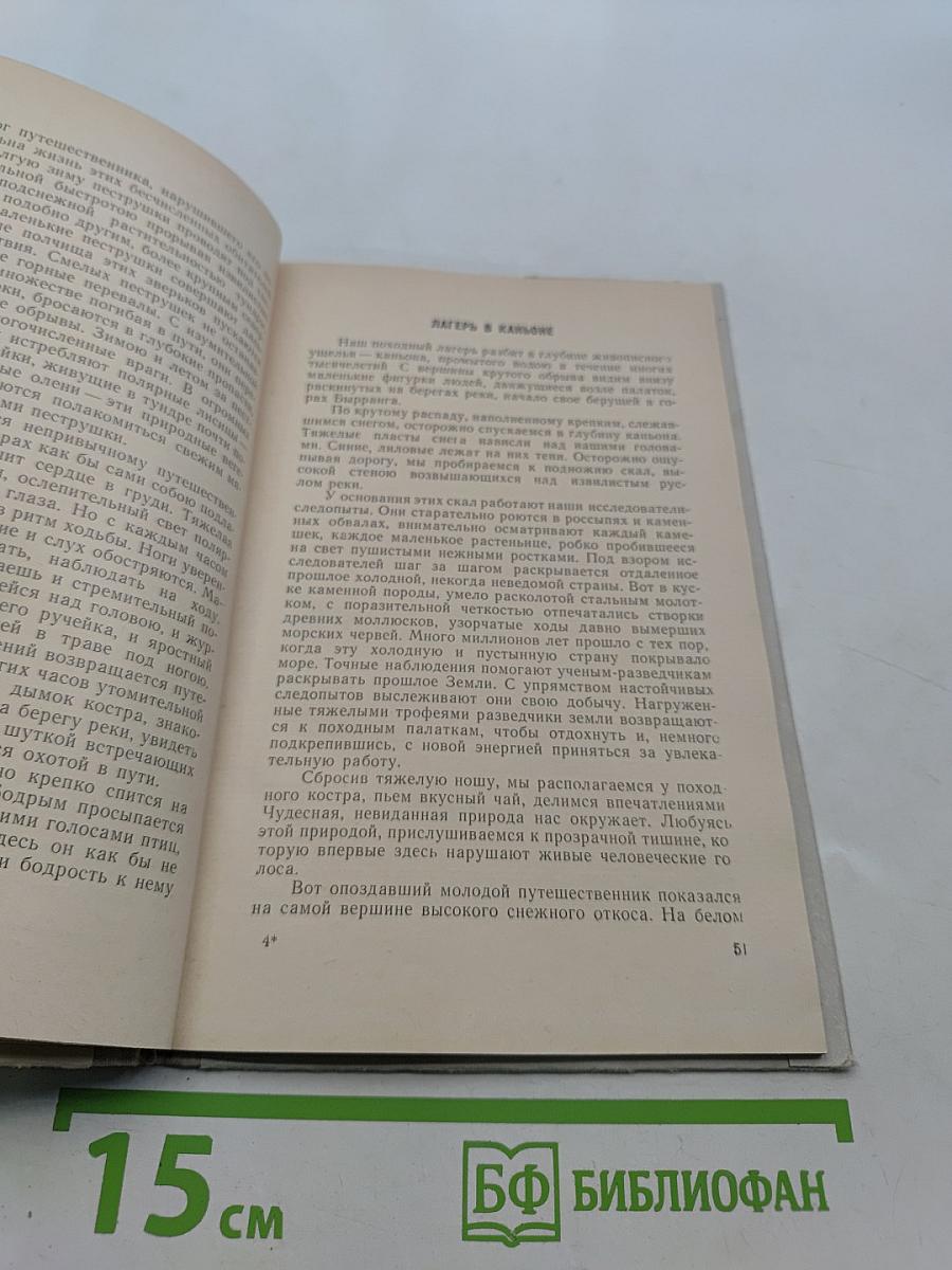 На родине птиц