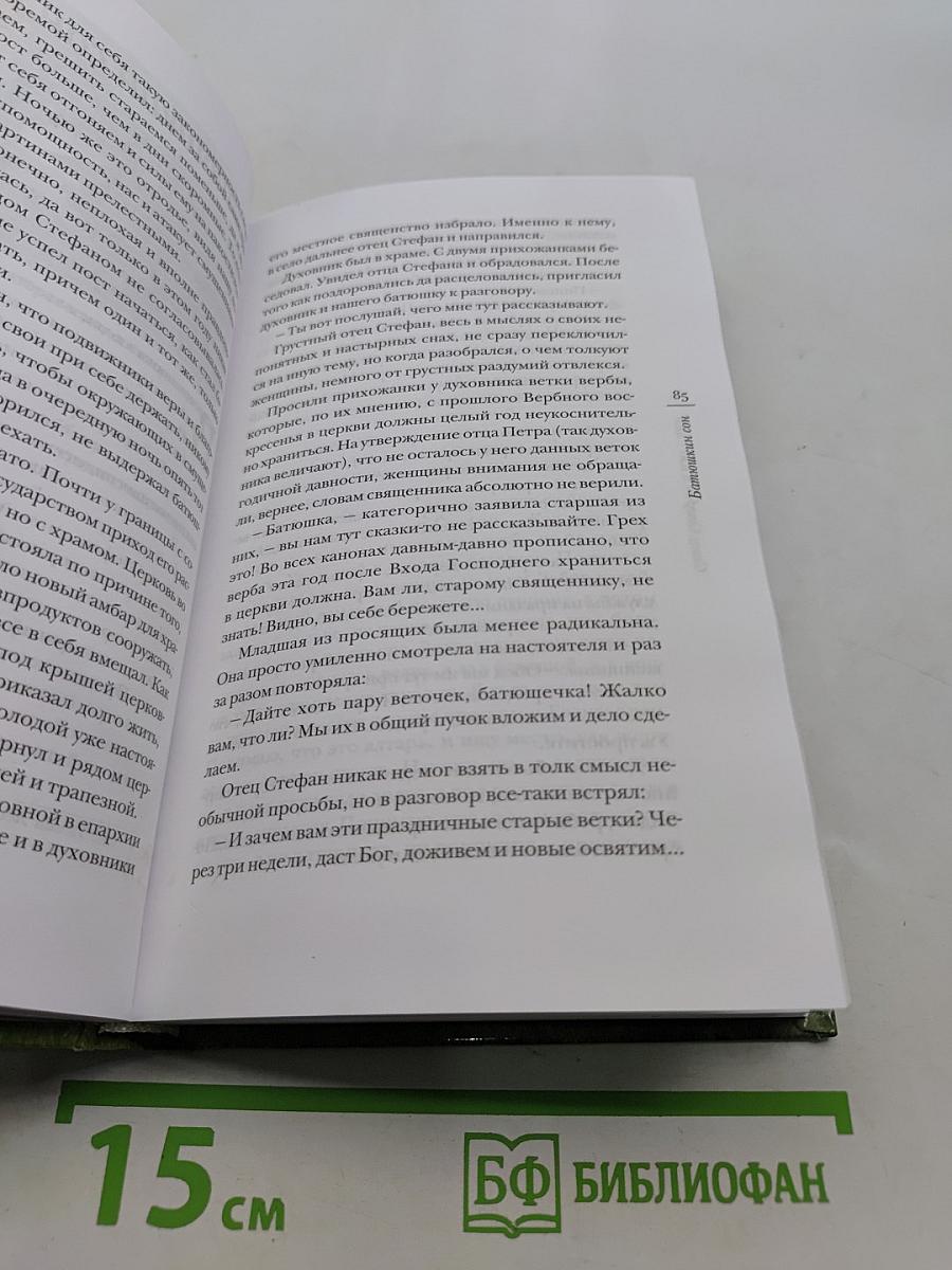 Отец Стефан и иже с ним