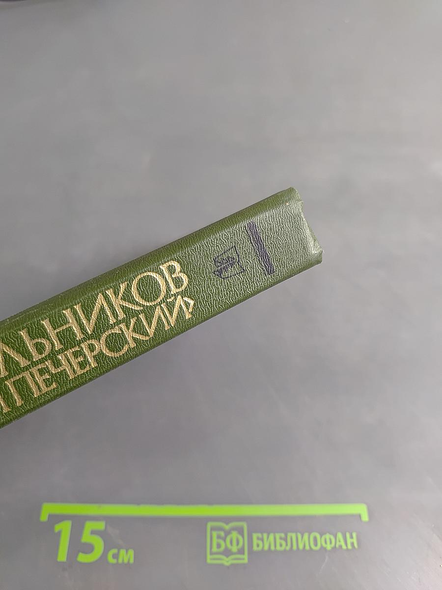 На горах. Продолжение рассказов «В лесах». В 2 книгах. Книга вторая