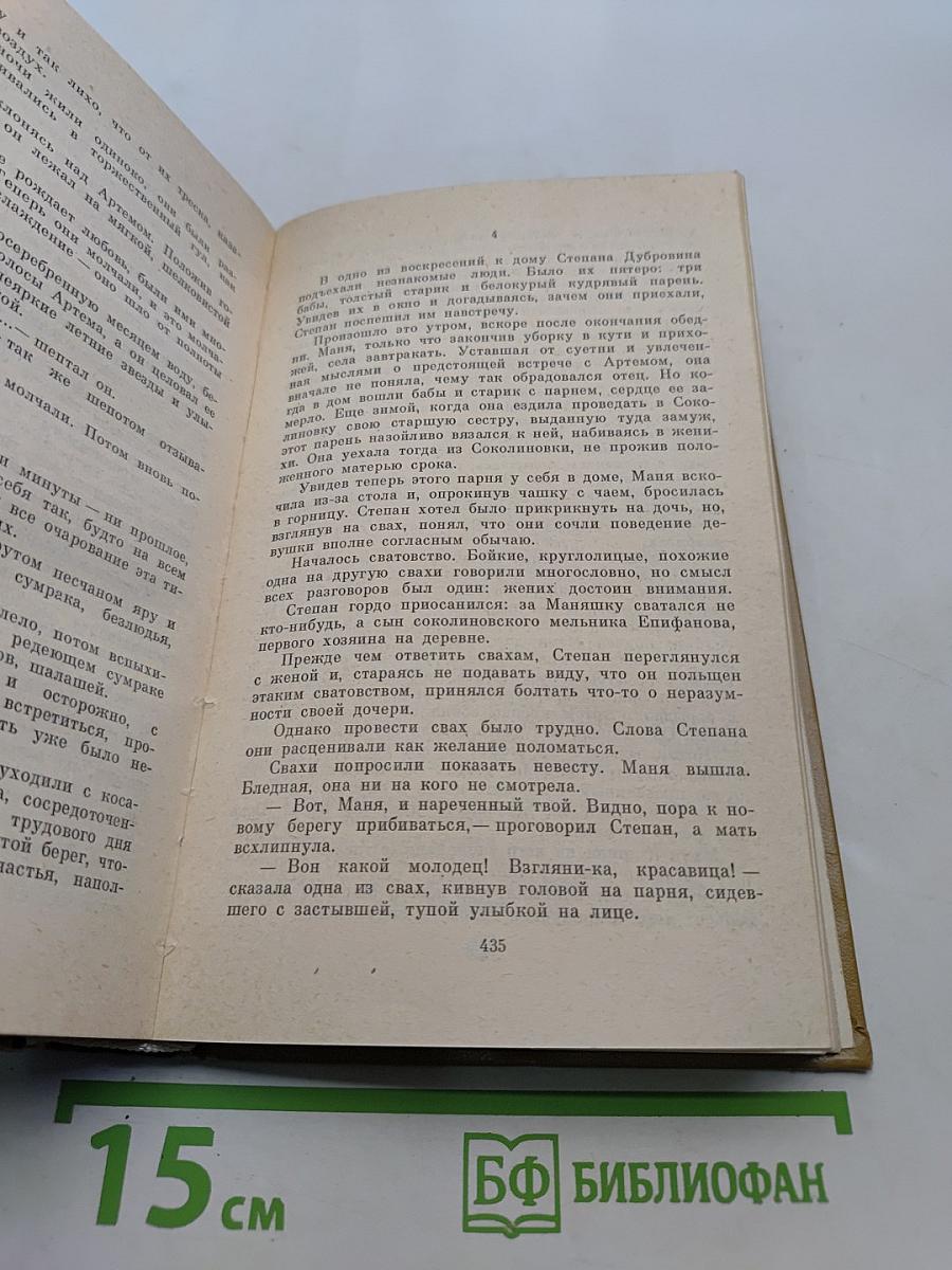 Строговы. Роман