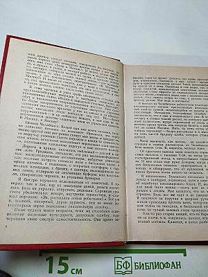 Алешина юность