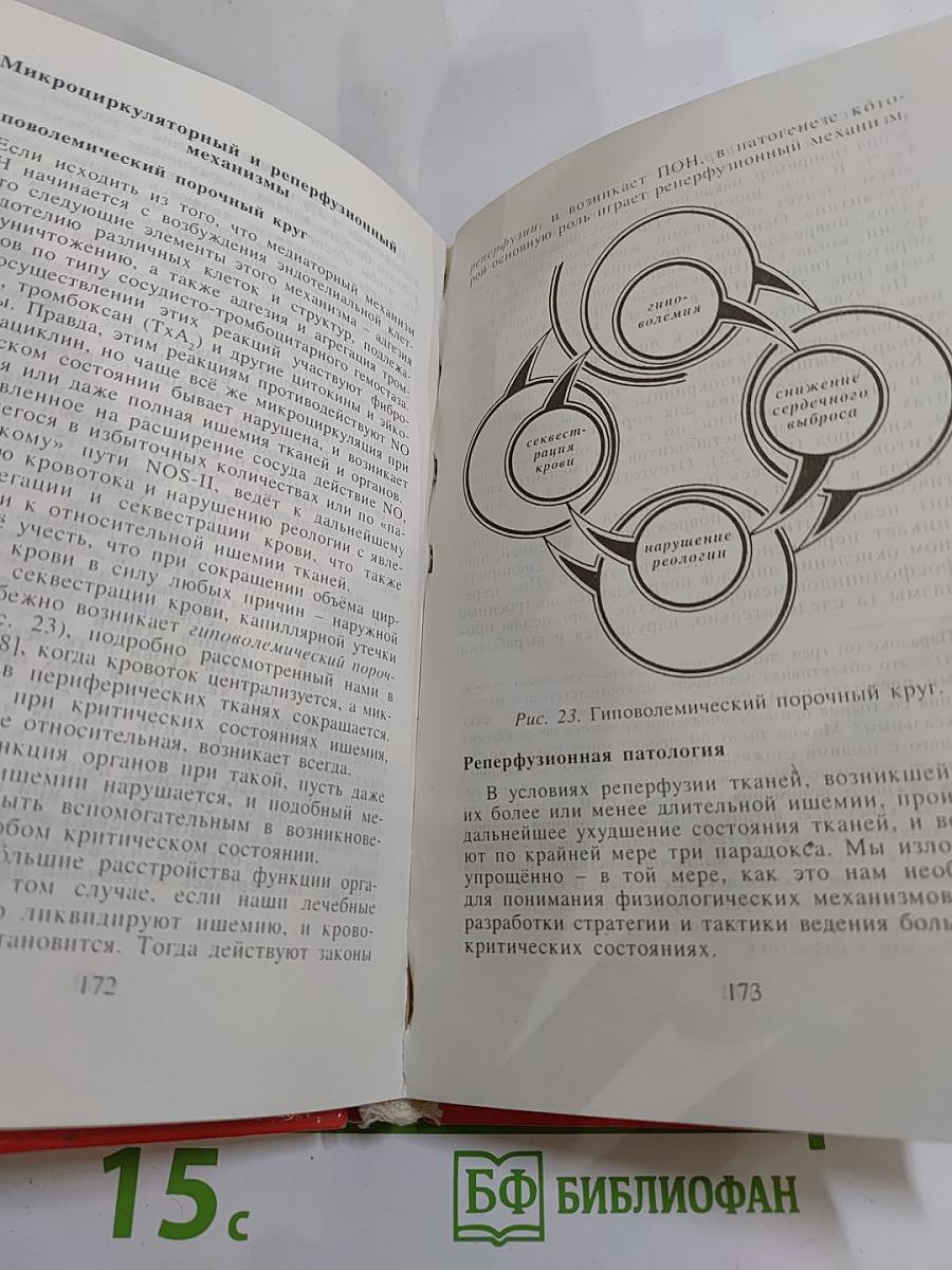 Этюды критической медицины. Книга I: Медицина критических состояний. Общие проблемы