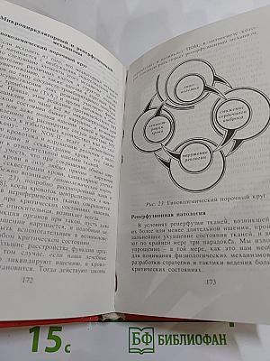 Этюды критической медицины. Книга I: Медицина критических состояний. Общие проблемы