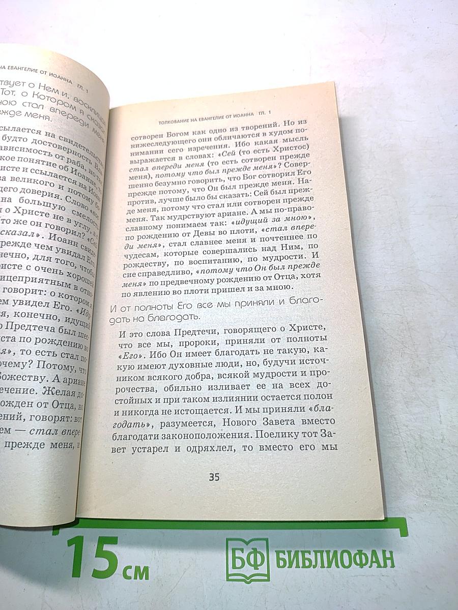 Толкование на Евангелие от Иоанна. Книга 4
